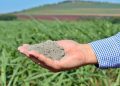 Roca Sales abre inscrições para Programa de Incentivo à Produção Agrícola com aquisição de calcário