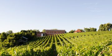 Cacis Estrela promove visita técnica à vinícola do Vale dos Vinhedos