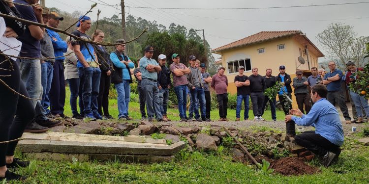 Dia de Campo aborda manejo e cuidados com frutíferas em Coqueiro Baixo