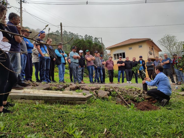 Dia de Campo aborda manejo e cuidados com frutíferas em Coqueiro Baixo