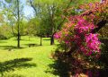 Jardim Botânico completa 31 anos de atividades ambientais em Lajeado