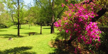 Jardim Botânico completa 31 anos de atividades ambientais em Lajeado