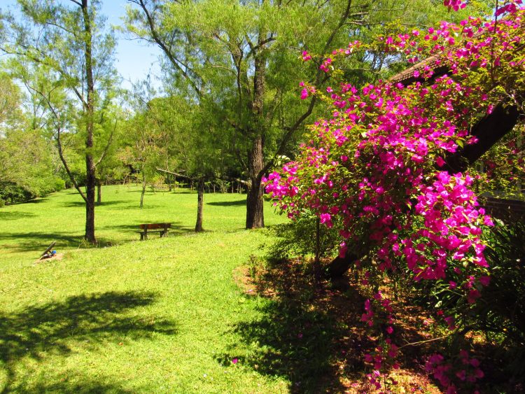 Jardim Botânico completa 31 anos de atividades ambientais em Lajeado