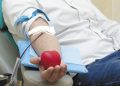 LAJEADO – Hemovale faz apelo urgente por doadores de sangue O negativo